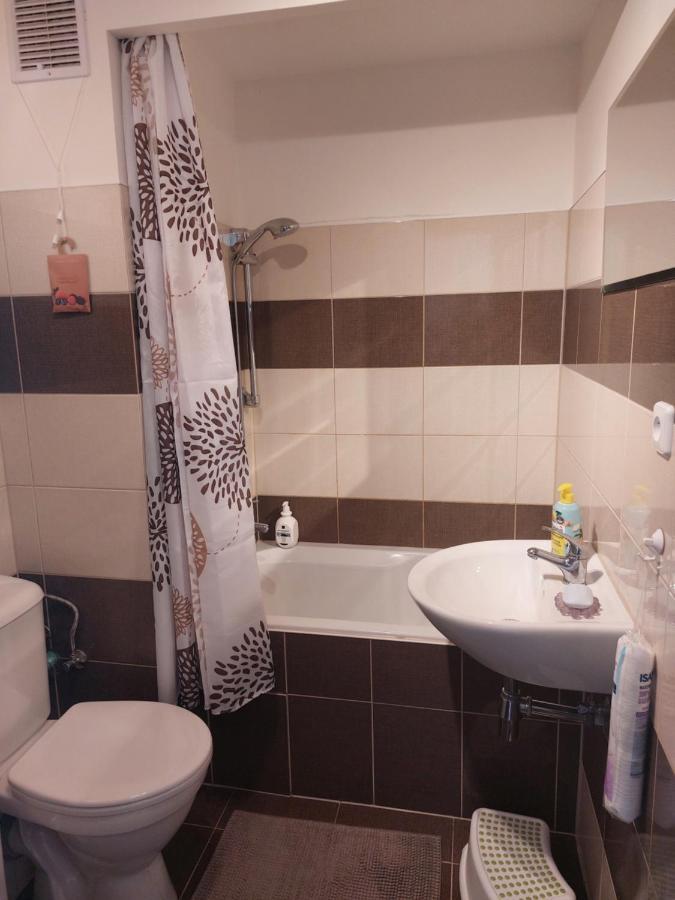 Apartman V Podhuri Krusnych Hor Sokolov Luaran gambar