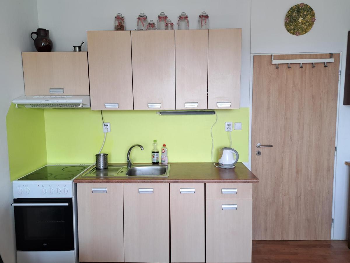 Apartman V Podhuri Krusnych Hor Sokolov Luaran gambar