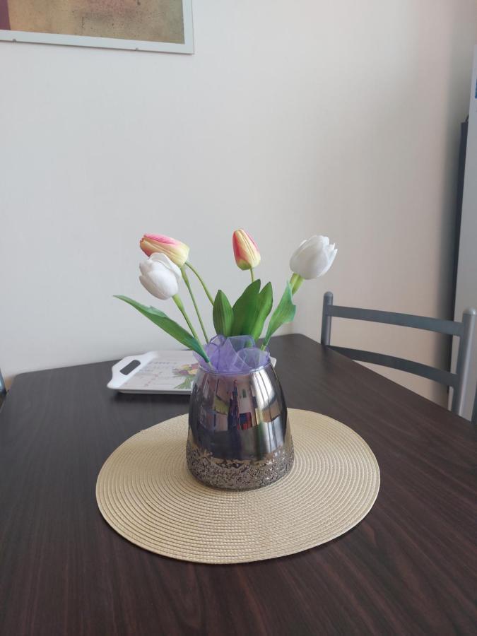 Apartman V Podhuri Krusnych Hor Sokolov Luaran gambar